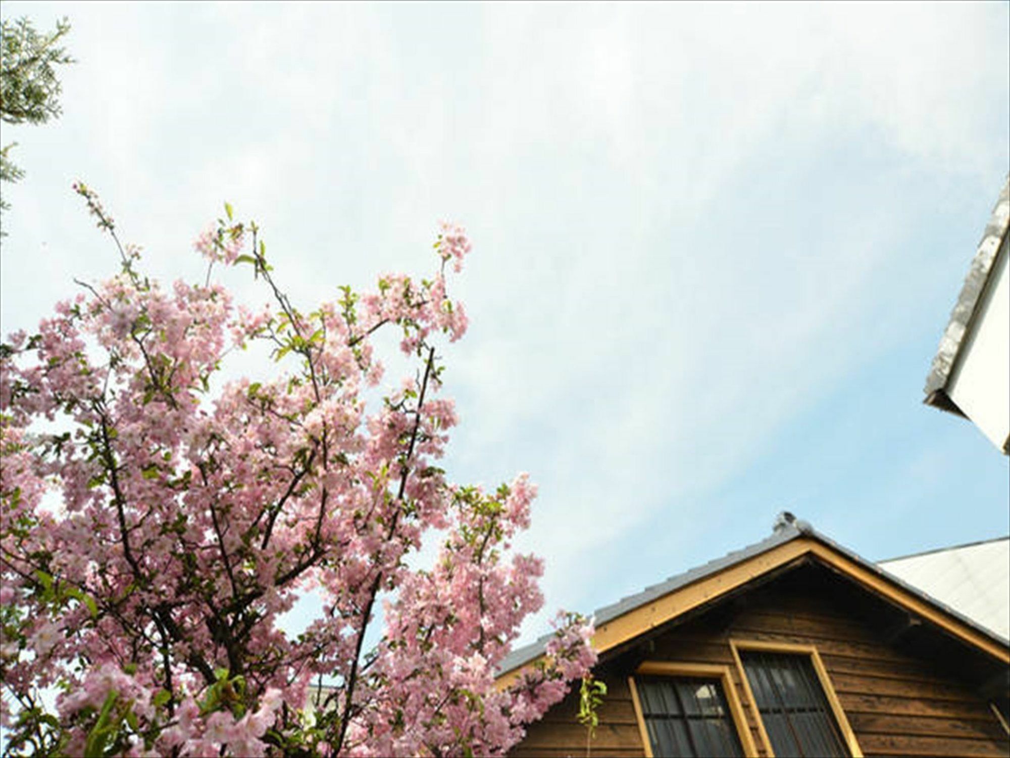 お宿梅夜guesthouse Umeya Kyōto Esterno foto